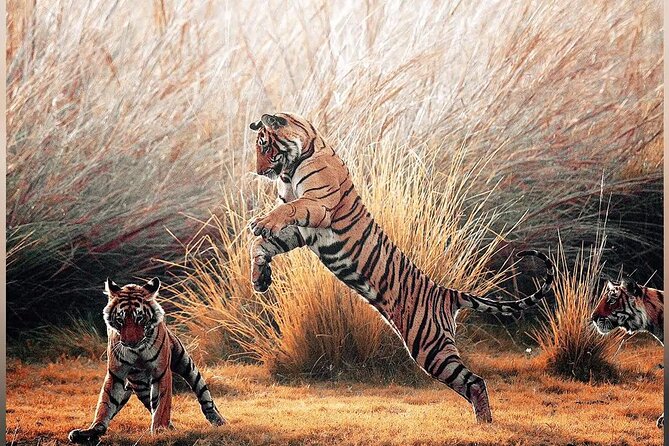 4 Days Guided Jaipur, Ranthambore Tigers & Udaipur Tour With Safari & Hotels - Jagdish Temple and Saheliyon ki Bari: two different kinds of Udaipur