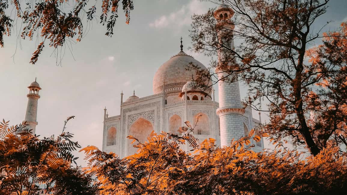7-Day Golden Triangle Jodhpur Udaipur Tour from Delhi - Day 7: Udaipur to the airport drop—time to start your next chapter