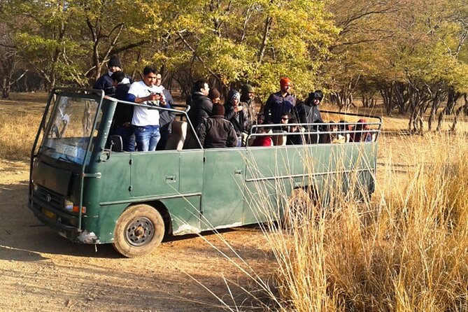 Day Trip to Ranthambore Tiger Reserve from Jaipur - Ranthambore Fort: the UNESCO stop that adds a second kind of value