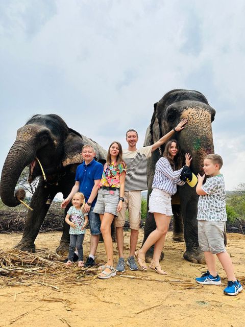 Elephant Sanctuary for Best elephant experience in Jaipur - Learning the Elephant Story: What They Eat, Where They Came From, and How Sanctuary Life Works