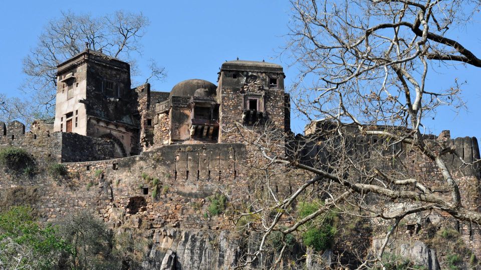 From Delhi: 6-Day Golden Triangle Tour with Ranthambore - Day 6: Jaipur to Delhi with airport or hotel drop-off