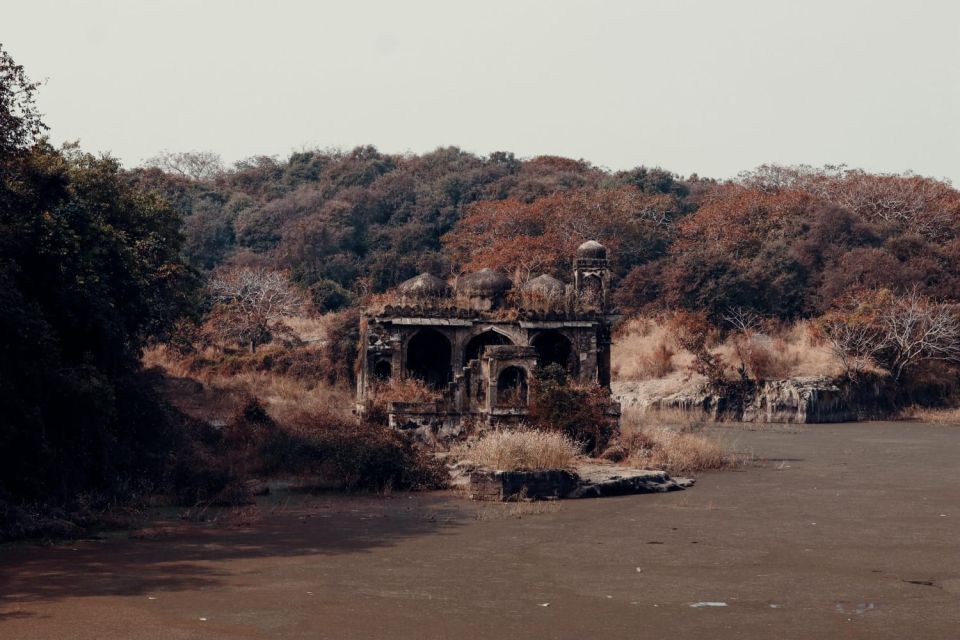From Jaipur : 2 Days Ranthambore Tiger Safari Tour By Car - Driving from Jaipur to Ranthambore: comfort matters more than you think