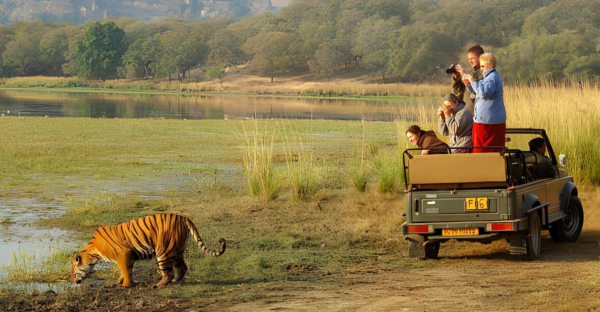 From Jaipur : 2 Days Ranthambore Tiger Safari Tour By Car - Day 2 dawn safari and Ranthambore Fort: the best of both worlds