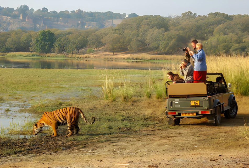 From Jaipur : 2 Days Ranthambore Tiger Safari Tour By Car - Hotels in Ranthambore: where comfort can make or break safari days