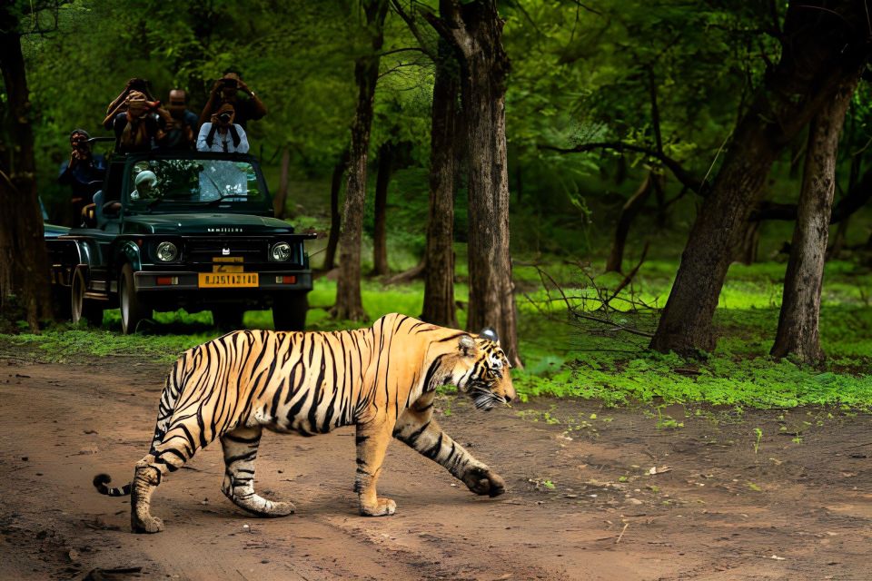 From Jaipur : 2 Days Ranthambore Tiger Safari Tour By Car - Price and value: why $222 can feel fair or frustrating