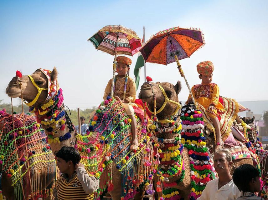 From Jaipur: One-Day Trip From Jaipur to Pushkar - Key Highlights Worth Getting Excited About