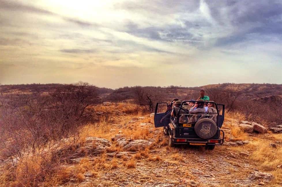 From Jaipur: Praivte Ranthambore Tour By Jeep Canter Safari - Jeep vs Canter Safari: Comfort, Chances, and Crowd Control