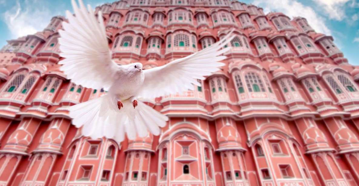 From Jaipur: Private Amber Fort, Jal Mahal and More Car Tour - The Human Touch: Guides and Drivers That Make It Feel Smooth