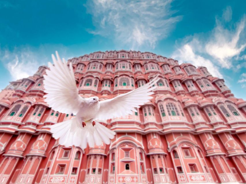 From Jaipur: Private Amber Fort, Jal Mahal and More Car Tour - Private AC Car and Guide: How the Day Stays Comfortable