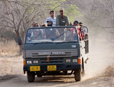From Jaipur: Ranthambore Tour with Cab - The Afternoon Safari Rhythm: Why the Timing Matters