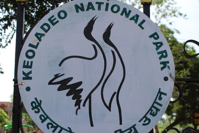 Guided Keoladeo Bird National Park Tour in Bharatpur from Jaipur - Rickshaw ride or cycle: choosing how you want to move through the marsh