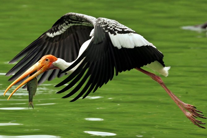 Guided Keoladeo Bird National Park Tour in Bharatpur from Jaipur - Entrance to Keoladeo: tickets in hand and a guide who sets the pace
