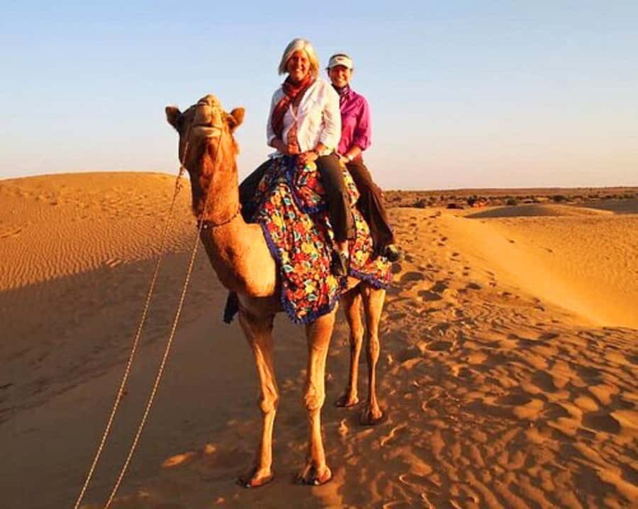 Jaipur: Ajmer & Pushkar Day Trip with Lunch & Camel ride - Timing From Jaipur: The Ajmer Start and Pushkar’s Midday Shift
