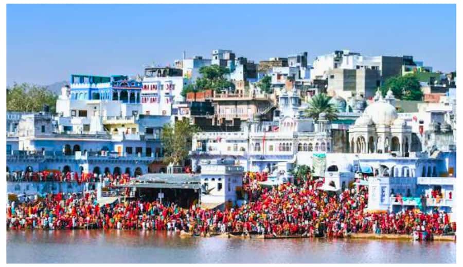 Jaipur: Ajmer & Pushkar Day Trip with Lunch & Camel ride - Private AC Vehicle and Driver Comfort: When the Human Factor Matters