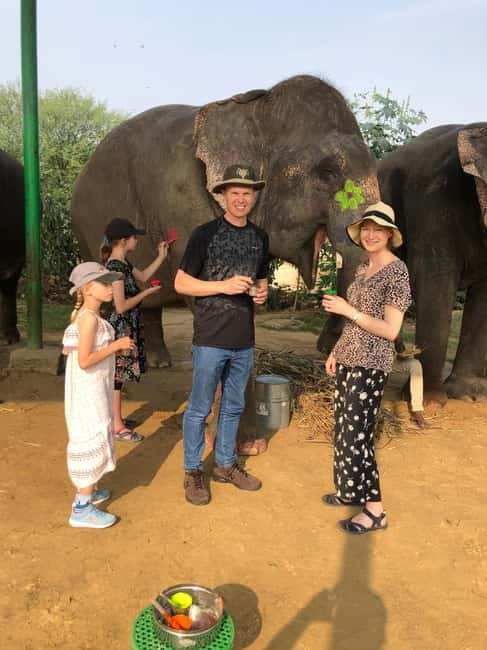 Jaipur: Elephant Interaction Tour - Feeding the Elephant: Favorite Foods, Feeding Patterns, and Real Bonding