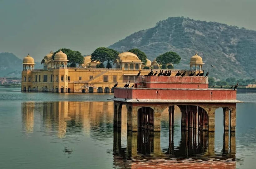 Jaipur: Explore Amber, Jaigarh & Nahargarh Fort with Sunset - Panna Meena ka Kund Stepwell: Geometry You Can Feel