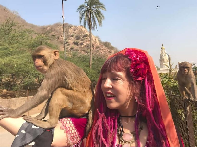 Jaipur: Explore City Sights, Amber Fort & Monkey Temple - Amber Fort and Sheesh Mahal: Rajput architecture you can walk into