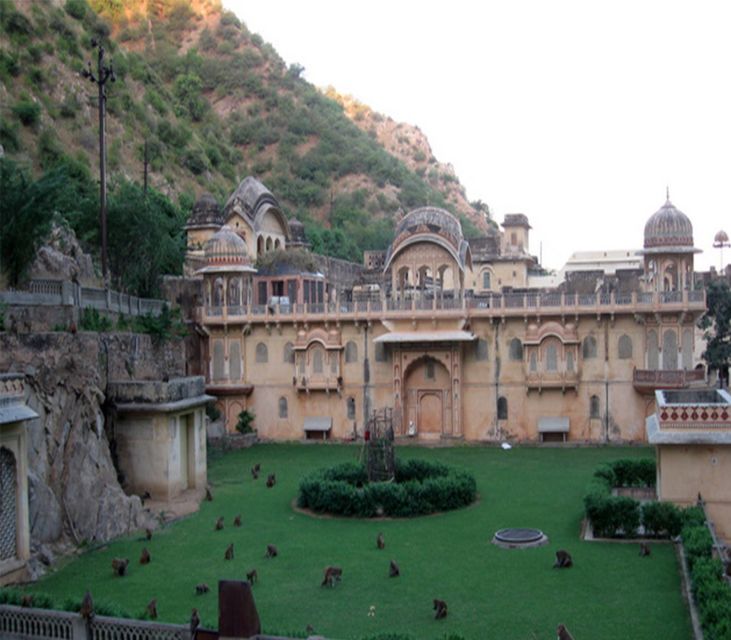 Jaipur: Full-Day City Tour with Camel Ride and Monkey Temple - Amber Fort and Its Defensive Genius: Why You Walk Through Power