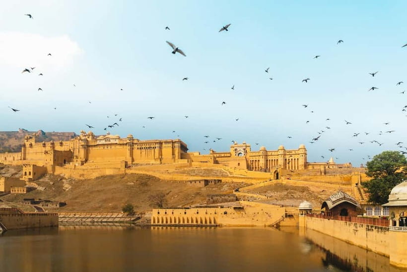 Jaipur: Half or Full-Day Sightseeing Tour with Flower Market - Timing, comfort, and the guide-driver team