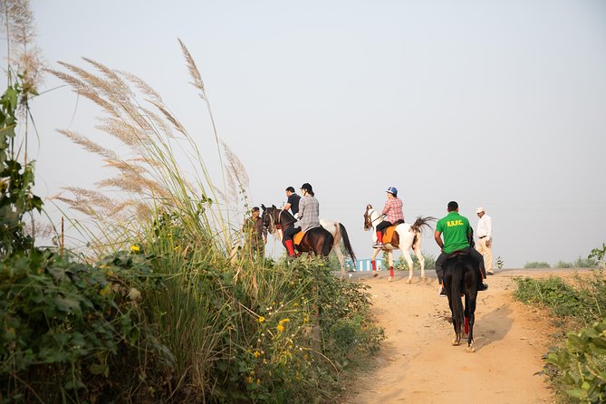 Jaipur Horse Riding Adventure - Marwari horses and Aravalli trails: what you’re really riding through