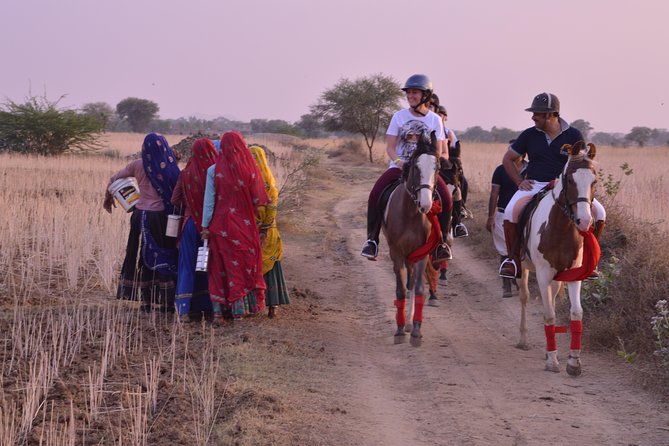 Jaipur Horse Riding Adventure - Should you book this Jaipur horse safari?