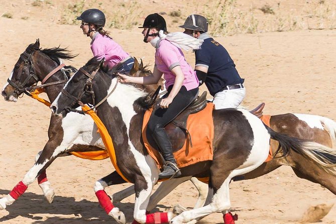 Jaipur Horse Riding Adventure - From the 6:30am meeting at Ramada to pastoral paths and tea
