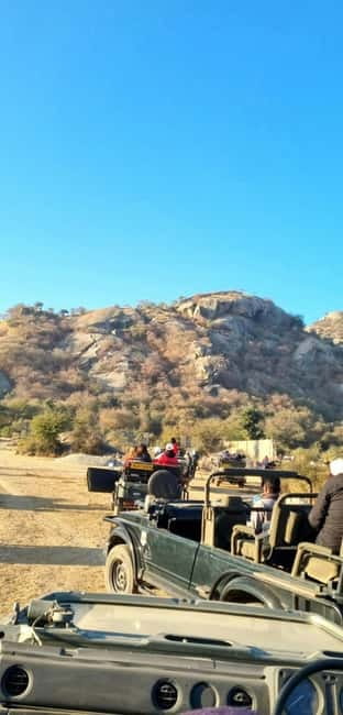 Jaipur: Jhalana Amagarh Leopard Reserve 4×4 Jeep Safari - Elephant Village Option: Know What You’re Paying For