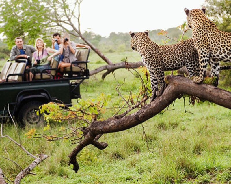 Jaipur: Jhalana/Amargarh Leopard Safari Private Tour - Jhalana Leopard Safari Park: the guided search phase