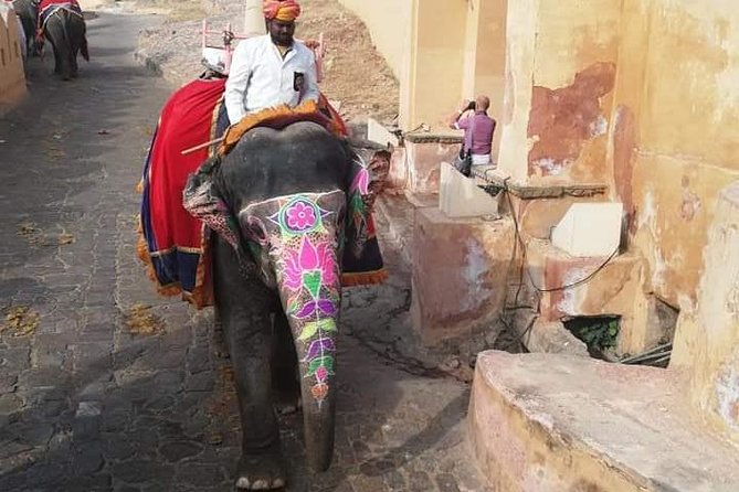 Jaipur Private City Tour By Car (All-Inclusive) - Jal Mahal: the water-facing stop that keeps the day lighter