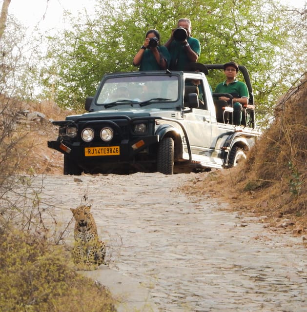 Jaipur: Private Jhalana Leopard Safari Tour - Wildlife you can actually hope to see: beyond the leopard