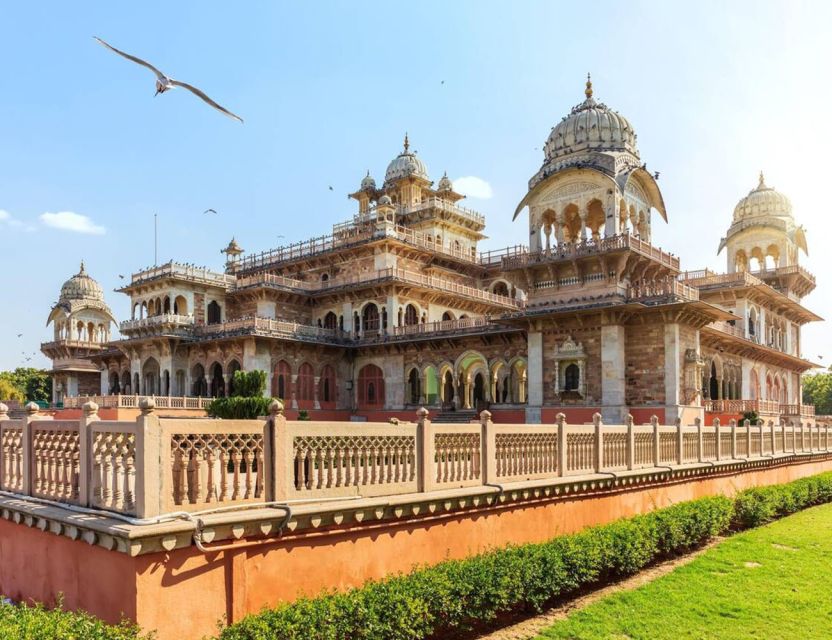 Jaipur Sightseeing by Tuk-Tuk: Temples, Palaces & Markets - Guide quality, languages, and why the route feels smooth