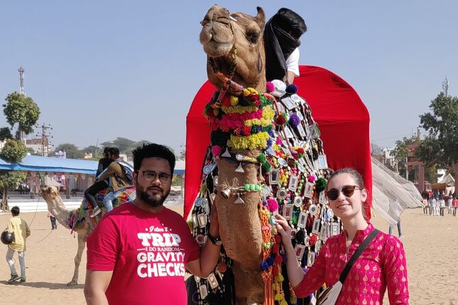 Jaipur Tour By Car & Guide - Private Full Day Sightseeing with Tickets - Hawa Mahal and Jal Mahal: short stops, strong photo energy