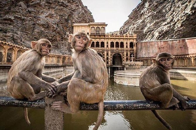 Jaipur Tour By Car & Guide - Private Full Day Sightseeing with Tickets - Jantar Mantar in one hour: science that still looks dramatic