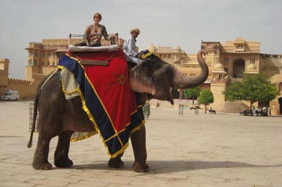 Jaipur Tour ( Pink City ) by Car From Delhi - All Inclusive - A 14-Hour Pink City Route From Delhi With Private A/C Car