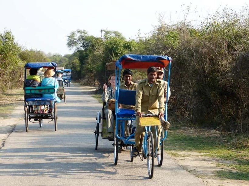 Keoladeo National Park Tickets and Guided Tour - Why Keoladeo National Park works in just three hours