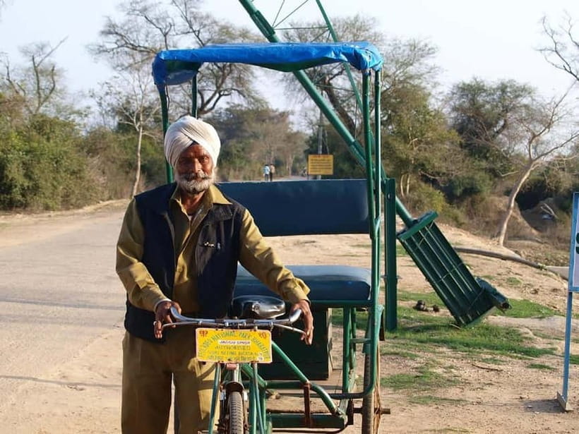Keoladeo National Park Tickets and Guided Tour - Spotting wildlife without rushing: why the birding feels special