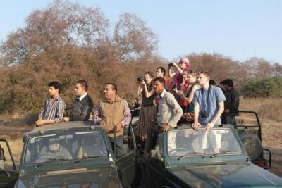Private 4-Day Wildlife & Taj Mahal Tour from Jaipur to Delhi - Day 1: Ranthambore Fort and a real jungle safari window