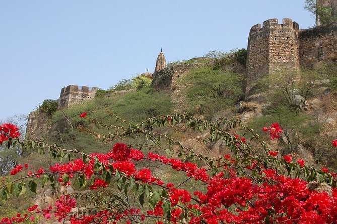 Private 6 Hours: Jaipur Temples Tour - Quick Take: Best Parts to Know Before You Go