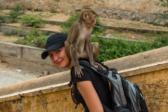 Private 6 Hours: Jaipur Temples Tour - Why This Jaipur Temple Tour Works So Well