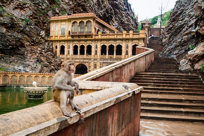 Private 6 Hours: Jaipur Temples Tour - Stop 5: Galtaji Temple and the Aravalli Springs Pilgrimage