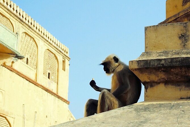 Private Day Tour of Jaipur with a Guide and Including Lunch - Hawa Mahal’s 953 windows: seeing the facade like a puzzle