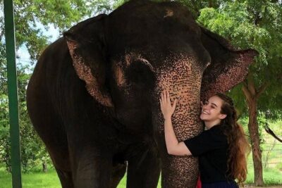 Private Elephant Sanctuary - Enrichment activities, walking, and the meaning of elephant communication