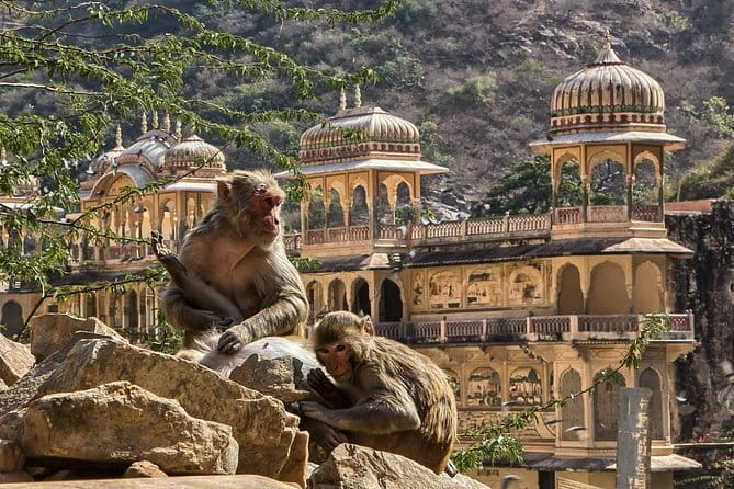 Private Overnight Jaipur City Tour from Delhi - Value check: what $134 per person really buys