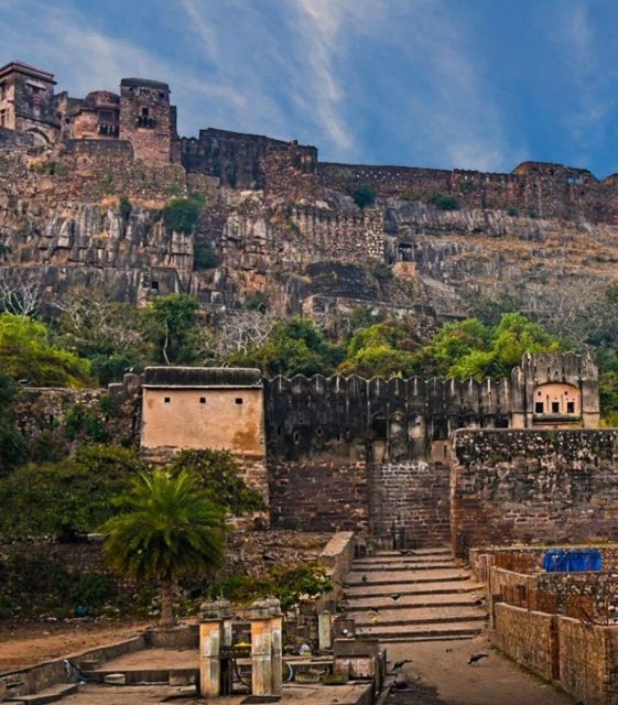 Ranthambore WildLife (tiger safari)Full Day Tour From Jaipur - Ranthambore National Park: Tigers, Other Wildlife, and the Park’s Big Backstory
