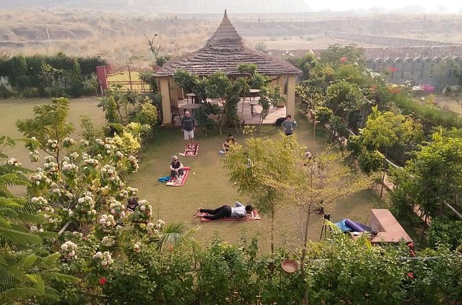 Yoga In Jaipur - A Few Practical Notes That Matter on the Day